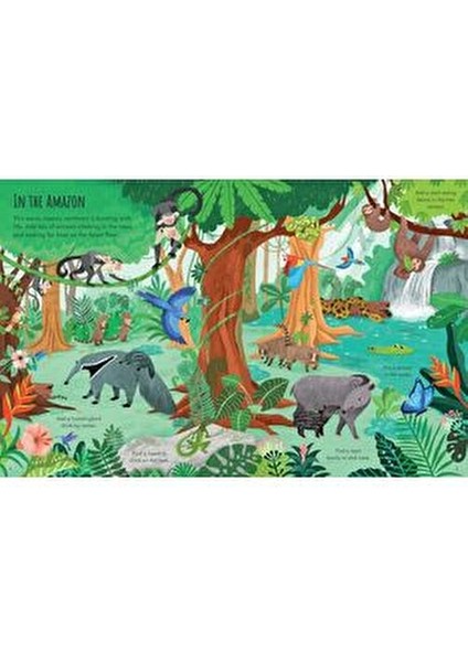 First Sticker Book Planet Earth - Kristie Pickersgill fiyatları