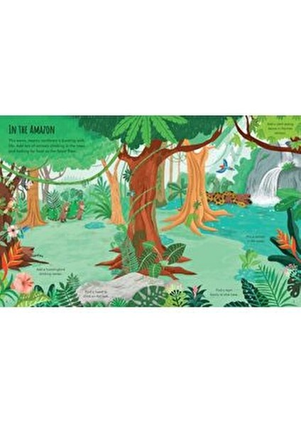 First Sticker Book Planet Earth - Kristie Pickersgill modelleri