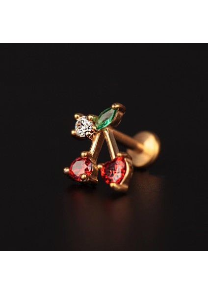 316 L Cerrahi Çelik Zirkon Taşlı Kiraz Helix Dudak Kıkırdak Tragus Piercingi