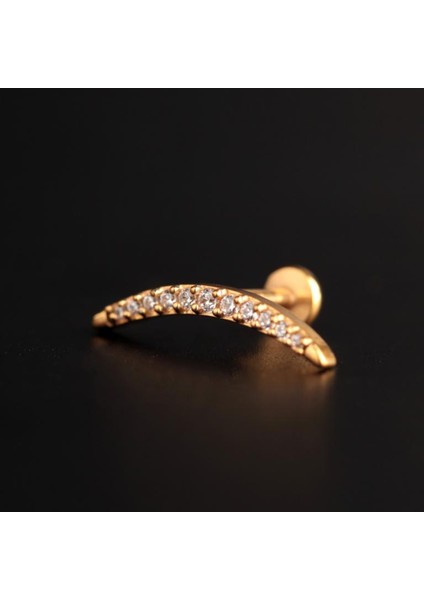 316 L Cerrahi Çelik Pırlanta Modeli Helix Tragus Kıkırdak Piercingi