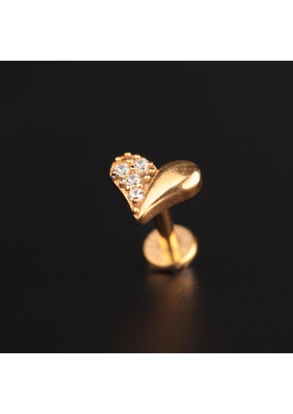 316 L Cerrahi Çelik Kalp Modeli Dudak Helix Kıkırdak Tragus Piercingi