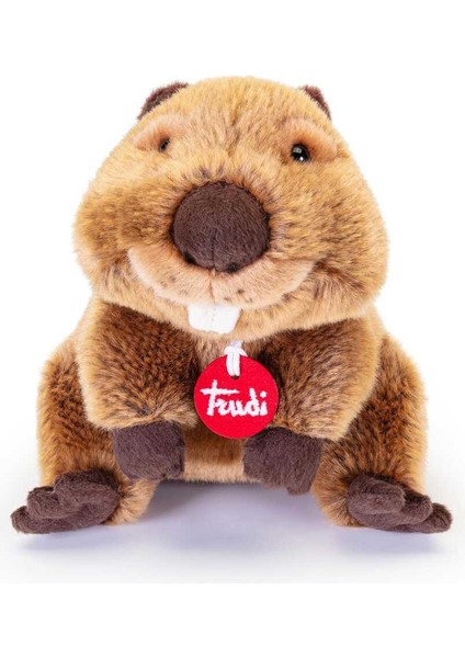 Trudı Beaver Joseph 24464 fiyatları