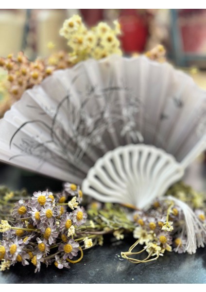 Plastik Desenli Yelpaze