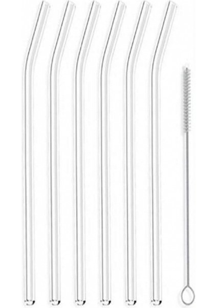 Cam Pipet 6lı Temizleme Fırçalı