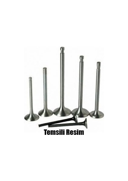 Supap Takım Emme-Egzoz Renault Clıo V 19> Megane Iv 16> Kadjar 16> Symbol Iıı 18> Duster Iı 18> 1. 5 Blue Dci Euro 6
