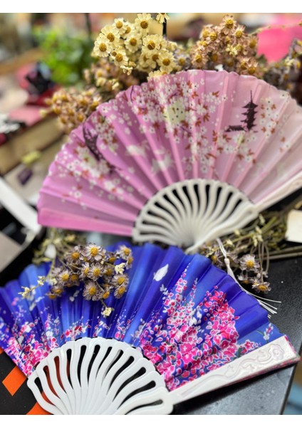 Plastik Desenli Yelpaze