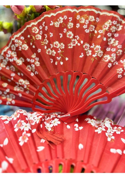 Plastik Desenli Yelpaze