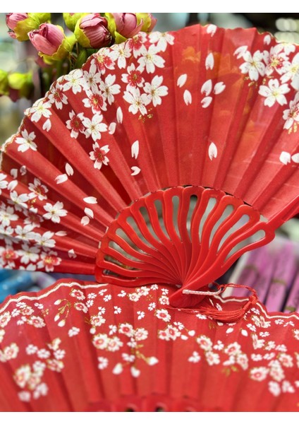 Plastik Desenli Yelpaze