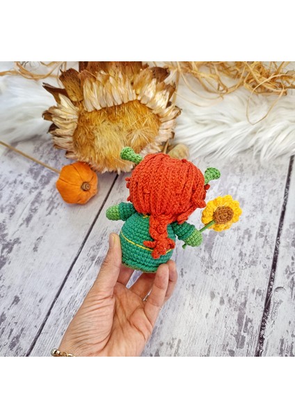 Shrek (Şrek) Fiona Eşek Çizmeli Kedi Kurabiye Adam Amigurumi Set Örgü Oyuncak modelleri