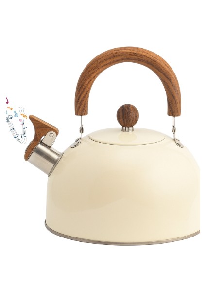 Paslanmaz Çelik Demlik Karma Renk indirimleri