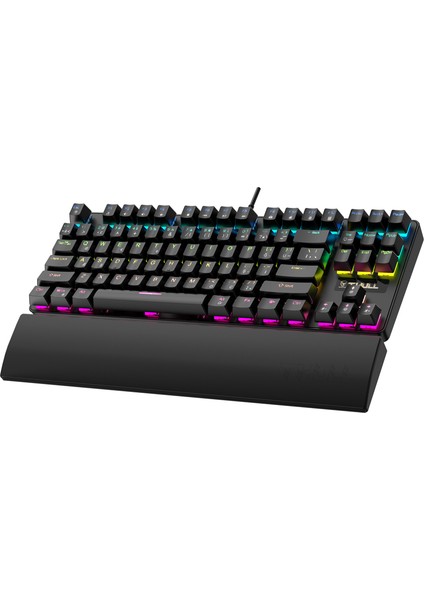 Apex THL-KB-APX540S Kablolu Mekanik Gaming Klavye 87 Tuş 26 Anti Ghosting 17 LED Modu USB Türkçe Q modelleri