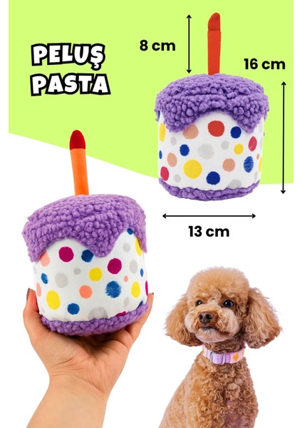 Köpek Parti Kutusu 5’li Set | Parti Şapkası, Peluş Pasta, Peluş Hediye Kutusu ve 2 Ödül Maması