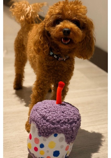 Köpek Parti Kutusu 5’li Set | Parti Şapkası, Peluş Pasta, Peluş Hediye Kutusu ve 2 Ödül Maması