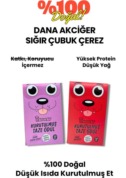 Köpek Parti Kutusu 5’li Set | Parti Şapkası, Peluş Pasta, Peluş Hediye Kutusu ve 2 Ödül Maması