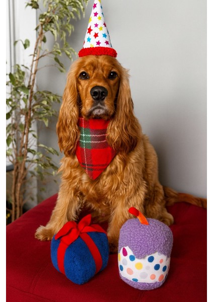 Köpek Parti Kutusu 5’li Set | Parti Şapkası, Peluş Pasta, Peluş Hediye Kutusu ve 2 Ödül Maması