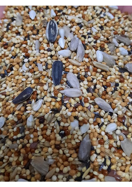 Lüks Premium Sultan & Cennet Papağan Yemi 800 Gram + 100 Gram Kızıştırıcı Hediyeli modelleri