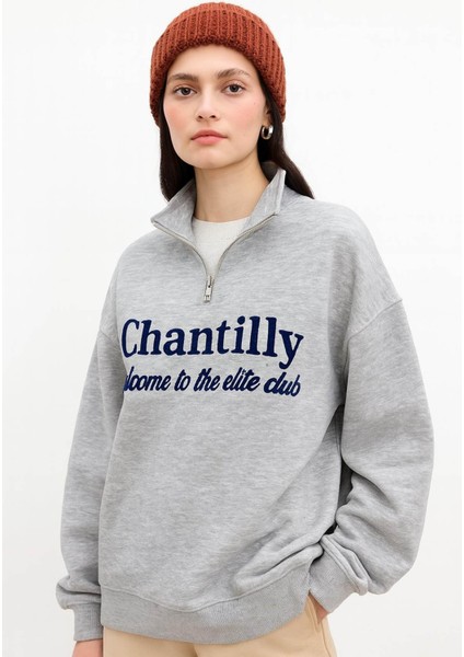 Oversize Yakası Fermuarlı Gri Kadın Sweatshirt 25K0133K1 fiyatları