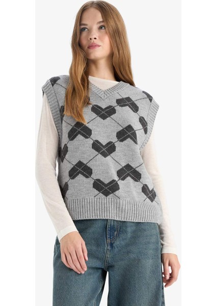 Coool Regular Fit V Yaka Desenli Süveter F9541AX25AU