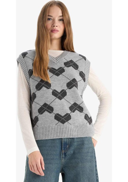 Coool Regular Fit V Yaka Desenli Süveter F9541AX25AU