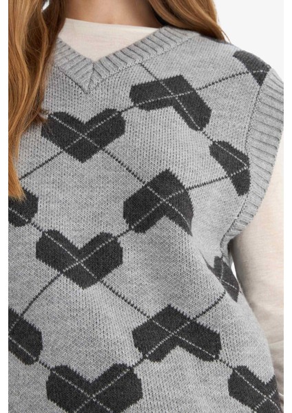 Coool Regular Fit V Yaka Desenli Süveter F9541AX25AU