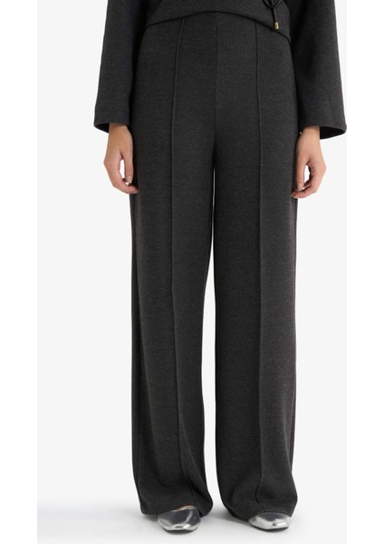 Wide Leg Düz Paça Pantolon E9913AX25AU fırsatları
