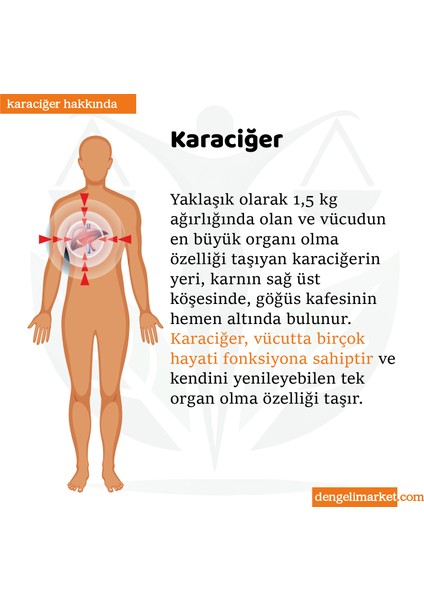 Sargı Bezi Çocuk Boy modelleri
