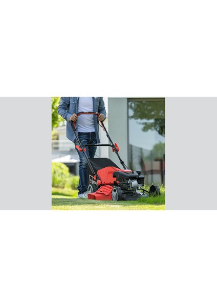MS161-46 Benzinli Çim Biçme Makinesi - 5911244905 modelleri