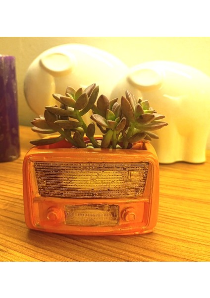 Retro Radyo Sukulent Saksısı ve Kalemlik - Masaüstü Dekoratif Organizer Turuncu 12*8 modelleri