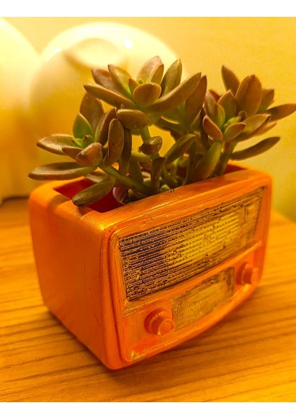 Retro Radyo Sukulent Saksısı ve Kalemlik - Masaüstü Dekoratif Organizer Turuncu 12*8 fırsatları
