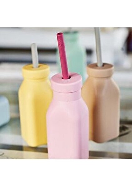 Alıştırma Bardağı Sızdırmaz Tasarım 300 ml Bebekler İçin Hafif ve Dayanıklı fırsatları