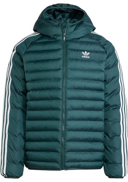 Originals IY6496 Synthetic Hooded Jacket modelleri