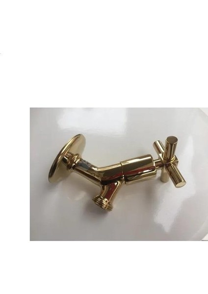 Juno Çamaşır Musluğu A4155223 Altın