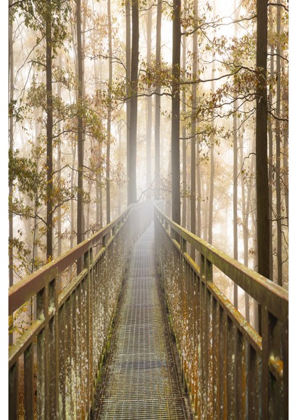 3D Köprü ve Orman Desenli Tek Parça Duvar Kağıdı modelleri