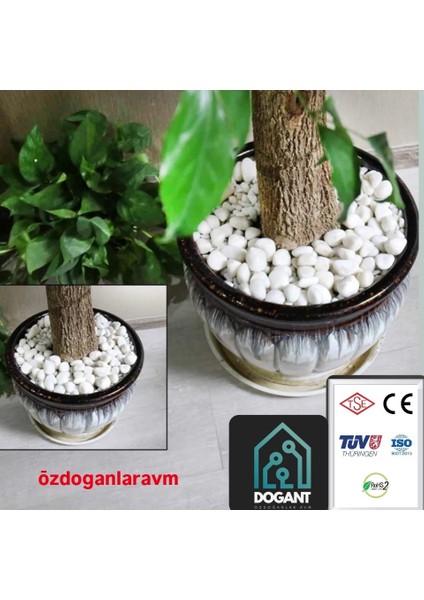 Anadolu Beyaz Dolomit Taş 2 kg Dere Çakıl Taşı Bahçe Peyzaj Süs Taşı Saksı Teraryum Akvaryum Taşı fiyatları