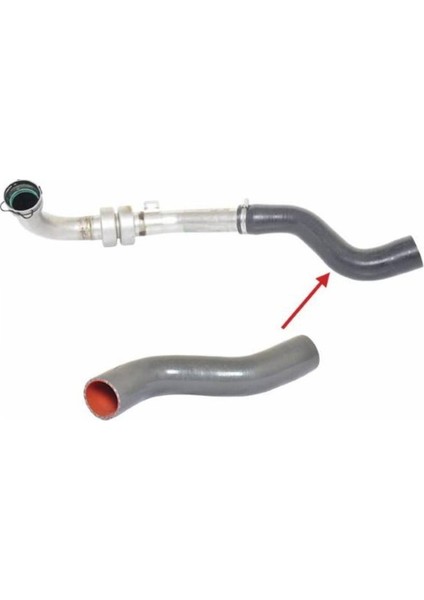 Hortum Turbo Borusu Kango 1.5