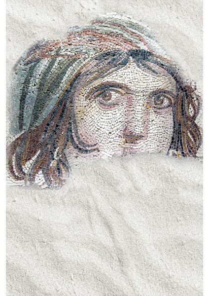 Zeugma Mozaik Dokunuşu Tek Parça Tekstil Duvar Kağıdı modelleri