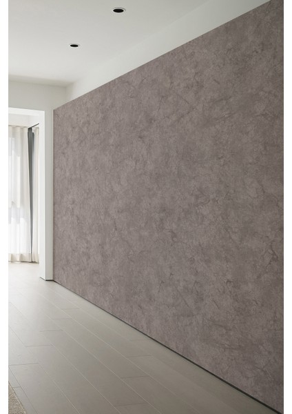 Taupe Beton Dokulu Modern Tekstil Duvar Kağıdı fiyatları
