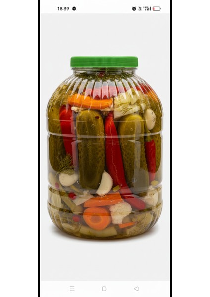 Hatesahome - 20 Litrelik Pet Bidon ( Büyük Boy Pet Saklama Kavanozu) 20 Lt modelleri