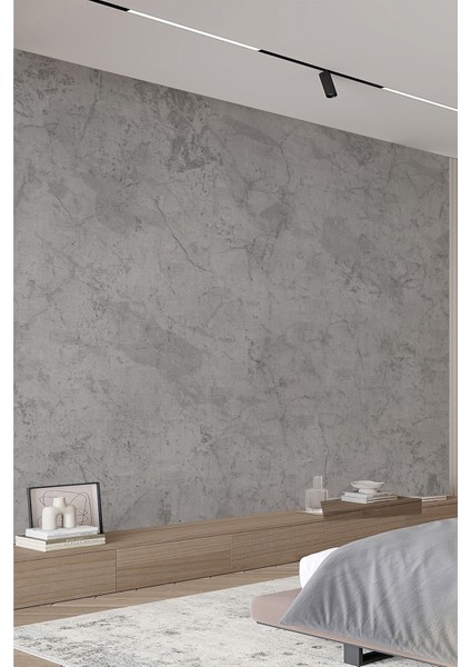 Endüstriyel Gri Tonlu Minimalist Duvar Kağıdı