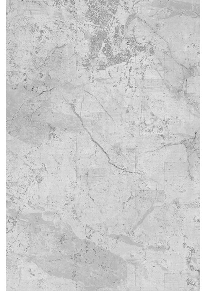 Endüstriyel Gri Tonlu Minimalist Duvar Kağıdı modelleri
