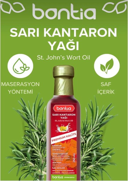 Sarı Kantaron Yağı Doğal Zeytinyağı Maserasyonlu 250 ml - Cilt Saç Eklem ve Kas Bakımı indirimleri