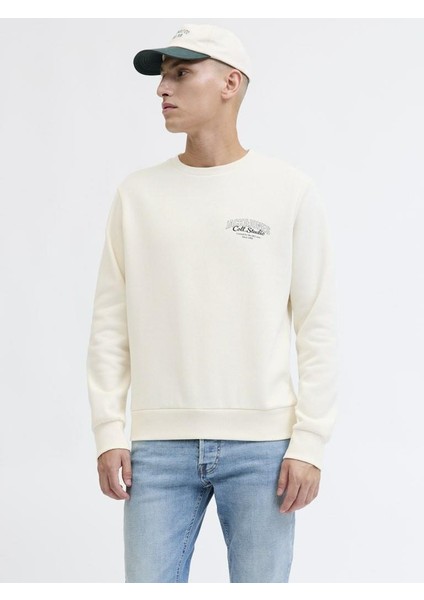 Jack Jones Makota Bisiklet Yala Regular Fit Erkek Sweat 12278601