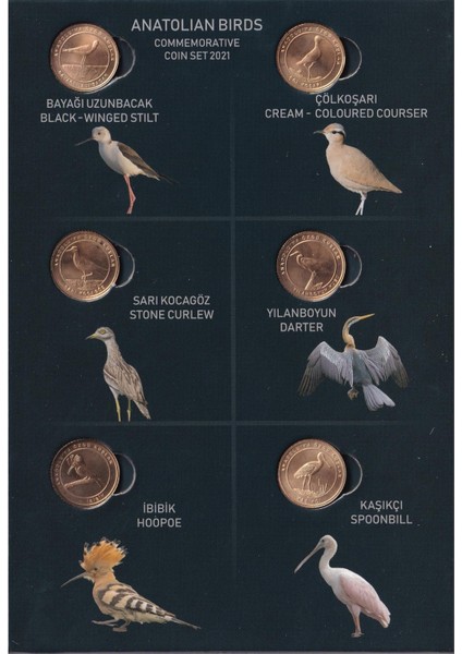 Anadoluya Özgü Kuşlar Hatıra Para Seti - 2021 fiyatları