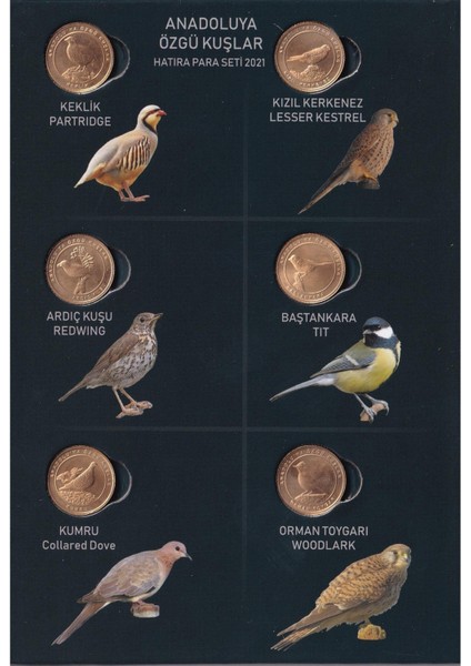 Anadoluya Özgü Kuşlar Hatıra Para Seti - 2021 modelleri