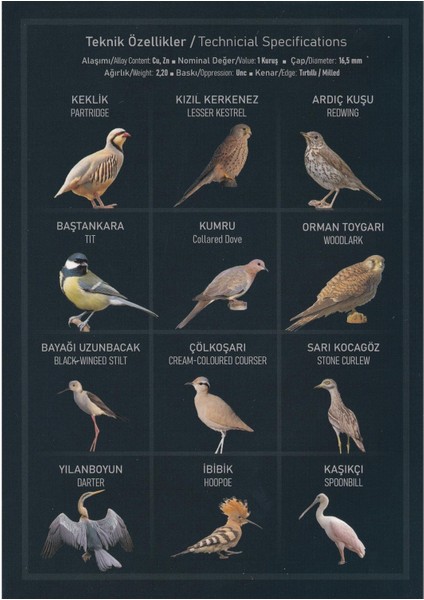 Anadoluya Özgü Kuşlar Hatıra Para Seti - 2021 fırsatları