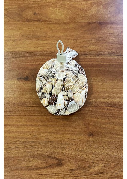 Deniz Kabuğu 200GR Karışık Deniz Kabukları Dekoratif Vazo Akvaryum Süsleme Teraryum Deniz Kabukları fiyatları