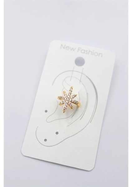 Kutup Yıldızı Kıkırdak Küpe - Altın fiyatları