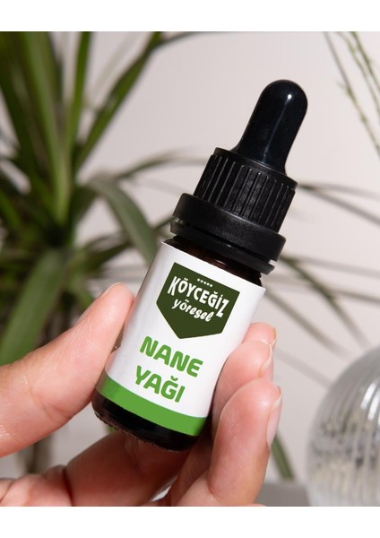 Nane Yağı 10 ml fırsatları