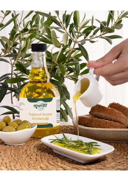 Naturel Sızma Zeytinyağı 500 ML Cam Şişe modelleri