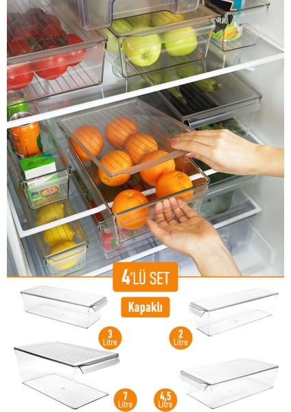 Kapaklı Buzdolabı Düzenleyici Meyve Sebze Saklama Kabı Organizer 4'lü Set 7 L - 4,5 L - 3 L - 2 L